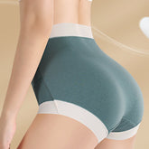 High Waist Warm Padded Panty Brief